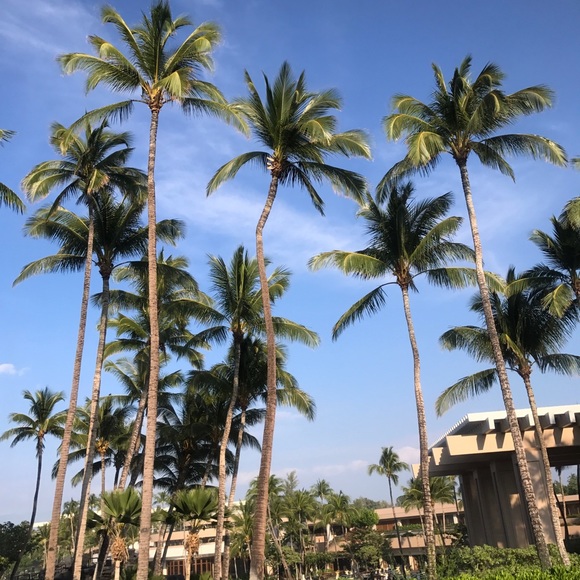 Meet your Posher, Amaya - Picture 1 of 1